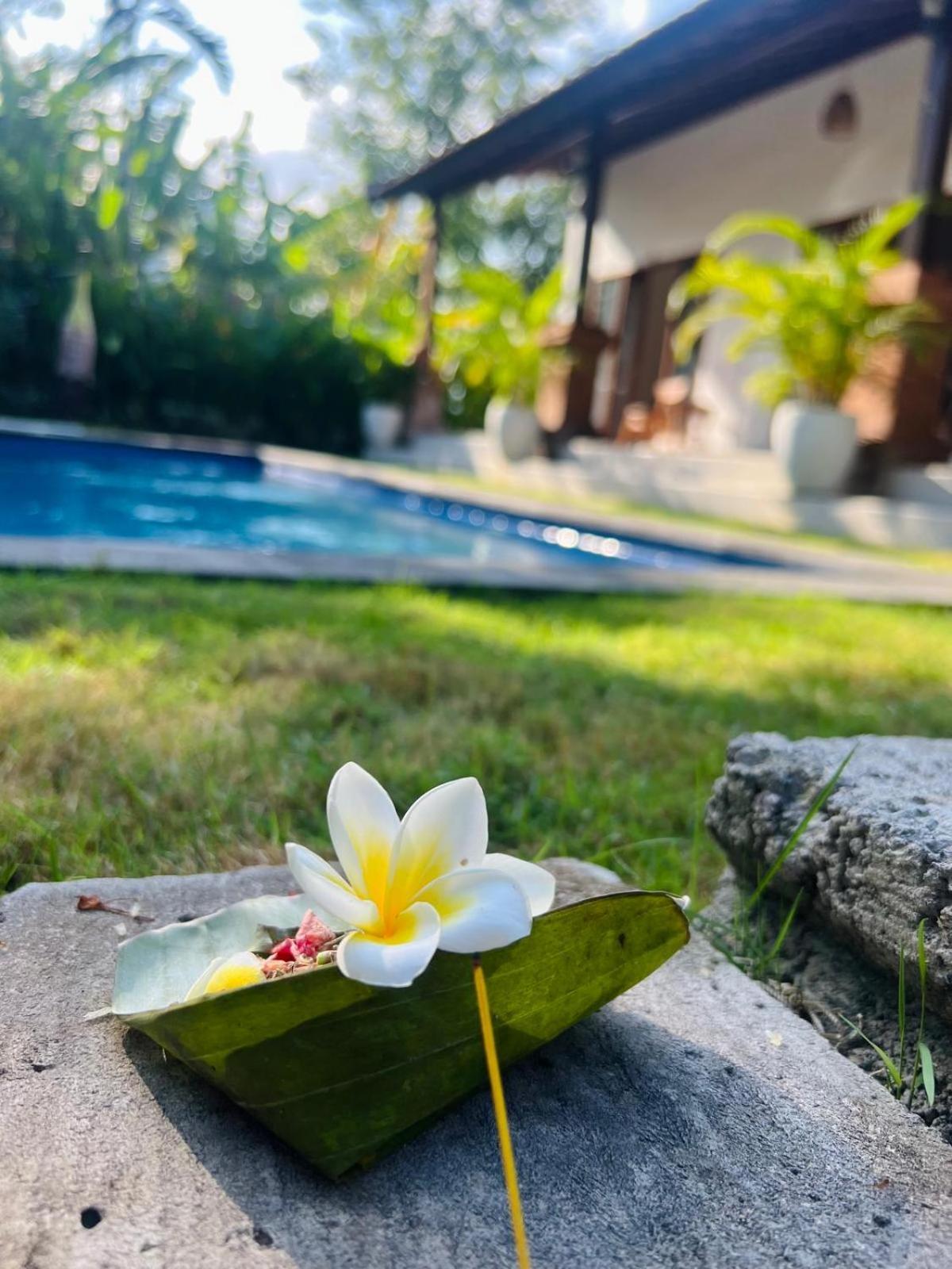 Wiryaroja Guest House Canggu  Bagian luar foto